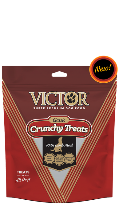 Victor Crunchy Dog Treats with Lamb, 14 Ounce Bag