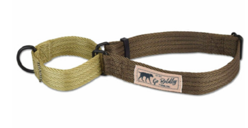 Hamilton Go Boldly Adjustable Dog Collar, Brown & Gold