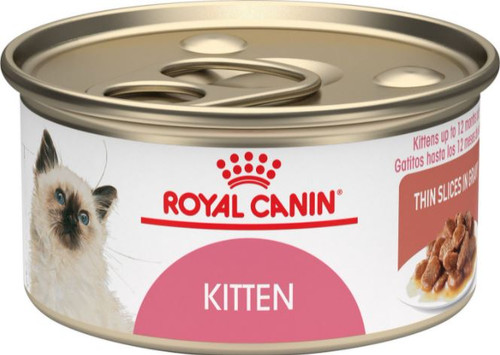 Royal Canin Feline Health Nutrition Thin Slices In Gravy Canned Kitten Food, 3oz.