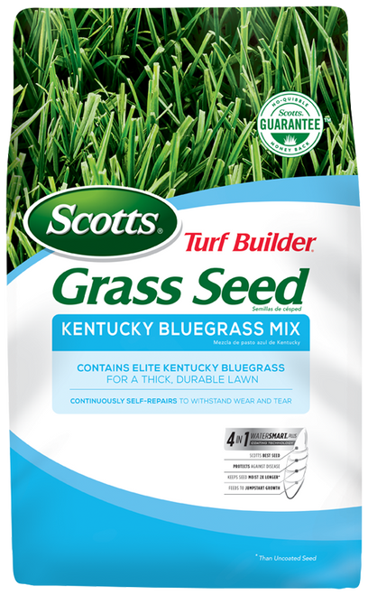Scotts Turf Builder Kentucky Bluegrass Mix Grass Seed