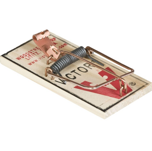 Tomcat Snap Mouse Trap - CountryMax