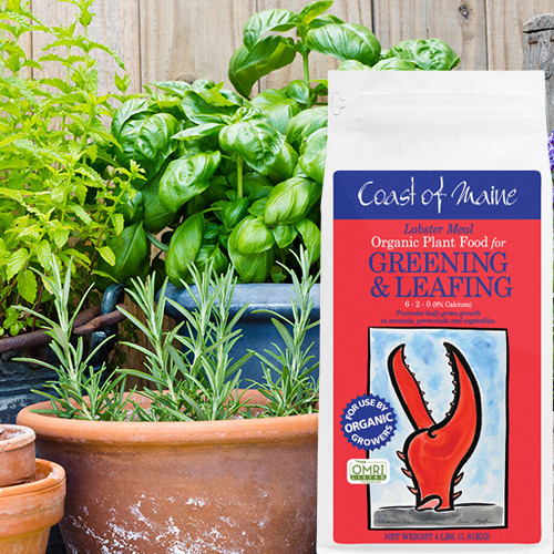 Coast of Maine Lobster Meal Plant Food - Thumbnail 4