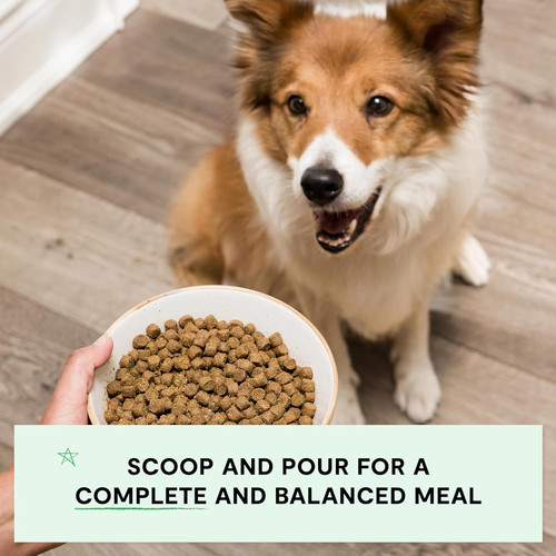 Open Farm Wild-Caught Salmon Grain Free Dry Dog Food