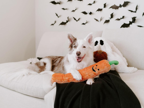 ZippyPaws Jigglerz Halloween Pumpkin Plush, Squeaky Dog Toy