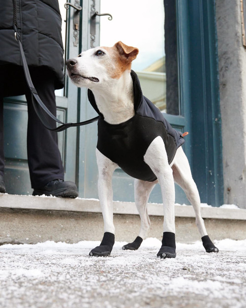 Goo-eez Monochromez Dog Boots, 2 Pack