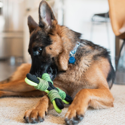 Jolly Pets Tik-Tak-Tugzz Large/XL Rope Dog Toy