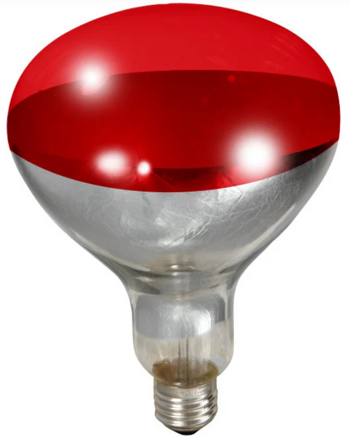 Little Giant Red Heat Lamp Bulb 250W
