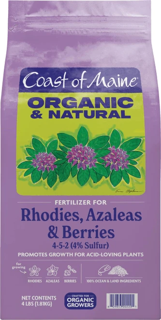 Coast of Maine Rhodies, Azaleas and Berries