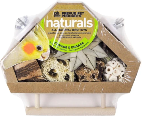 Corner Bird Box with Perch