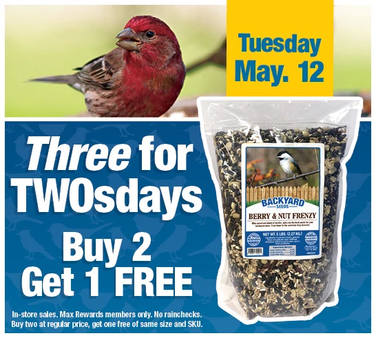 Three for TwosDay - Buy 2 Get 1 Free