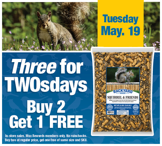 Three for TwosDay - Buy 2 Get 1 Free