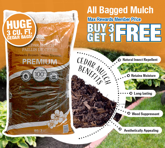 All Bagged Mulch, Max Rewards Member Price. Buy 3 Get 1 Free