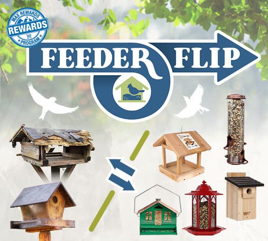 Feeder Flip Banner