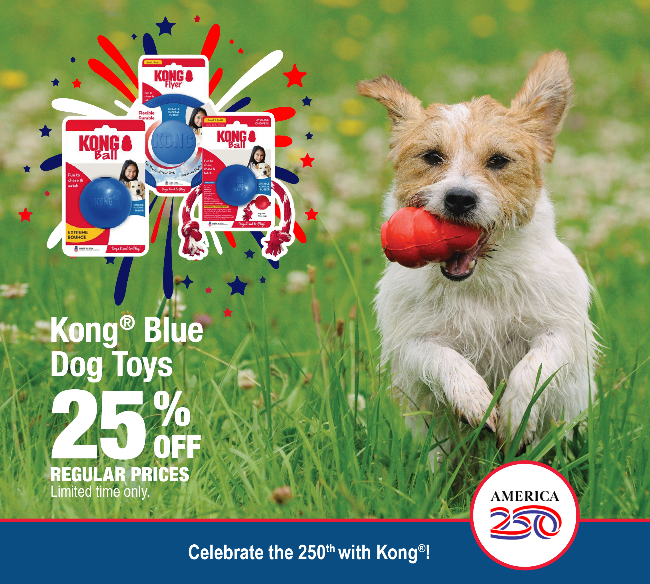 25% off Kong Blue Dog Toys