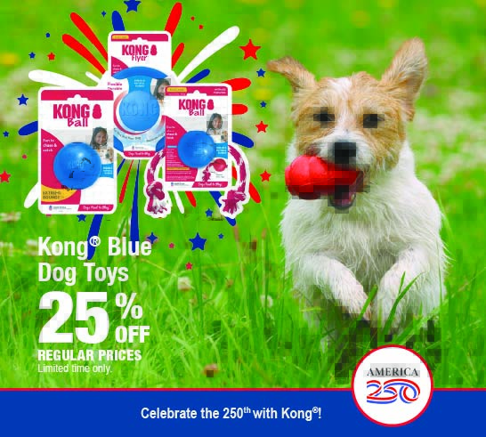 25% off Kong Blue Dog Toys