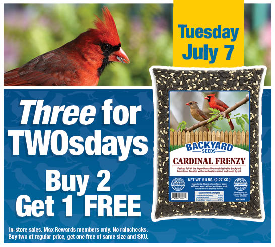 Three for TwosDay - Buy 2 Get 1 Free