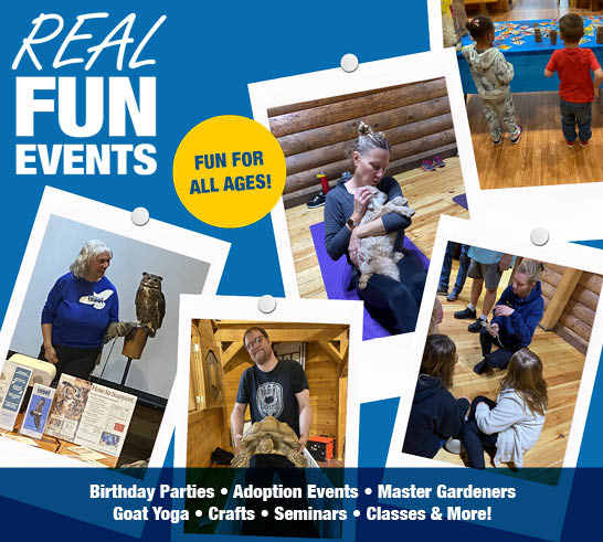 Real fun events for all ages. CountryMax hosts birthday parties, adoption events, master gardeners, goat yoga, crafts, seminars, classes and more!