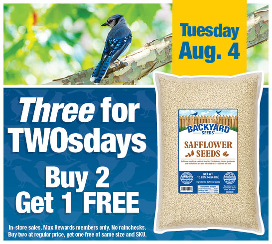 Three for TwosDay - Buy 2 Get 1 Free