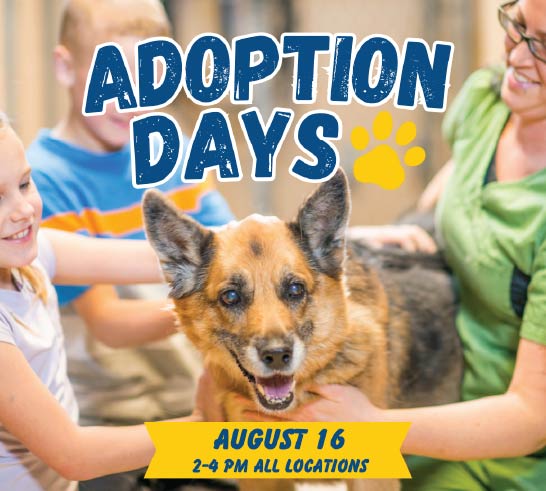 Adoption Days August 16 2-4pm all locations
