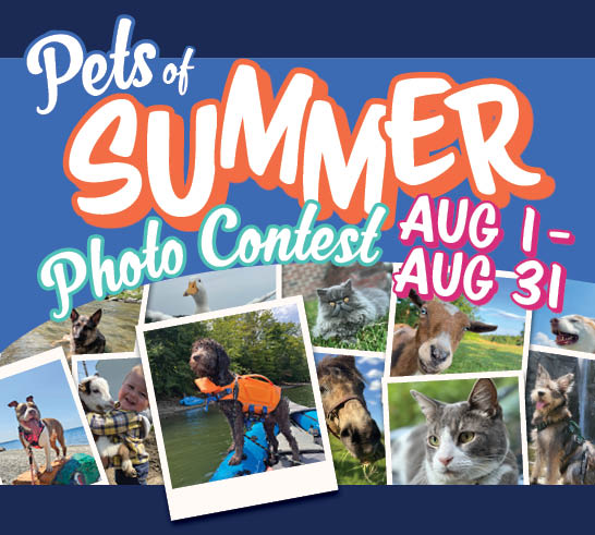 Pets of Summer Photo Contest August 1-31
