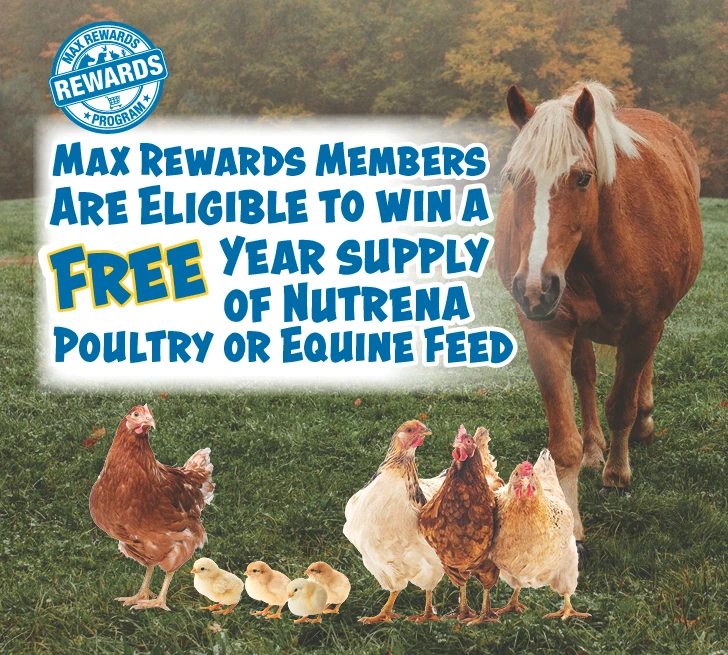 Max Rewards Members are eligible to win free equine or poultry feed