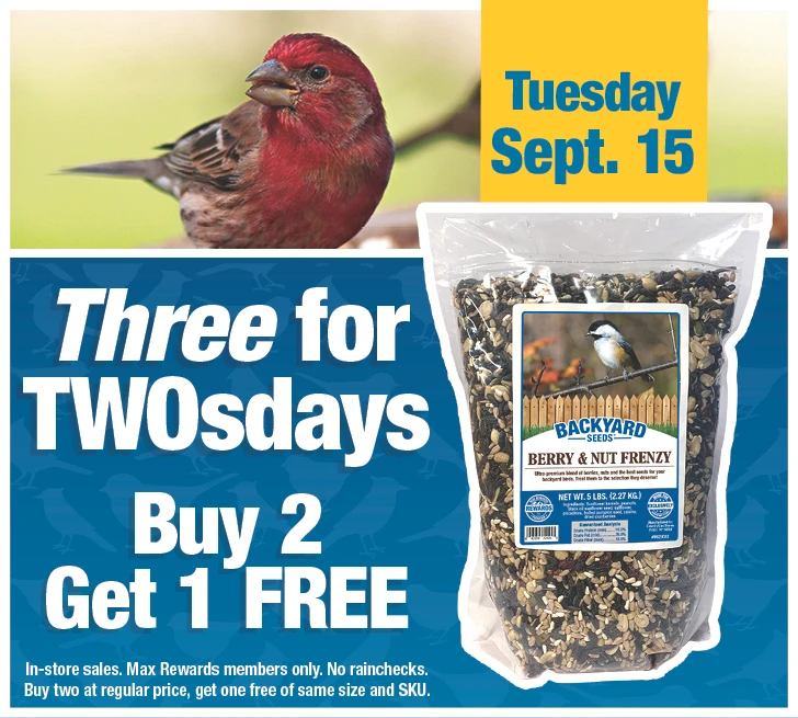 Three for TwosDay - Buy 2 Get 1 Free