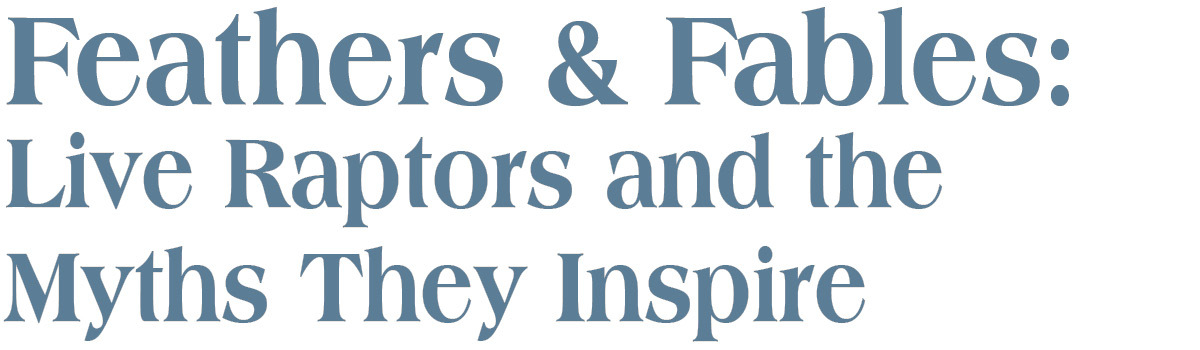 Feathers and Fables: Live Raptors and the Myths they Inspire