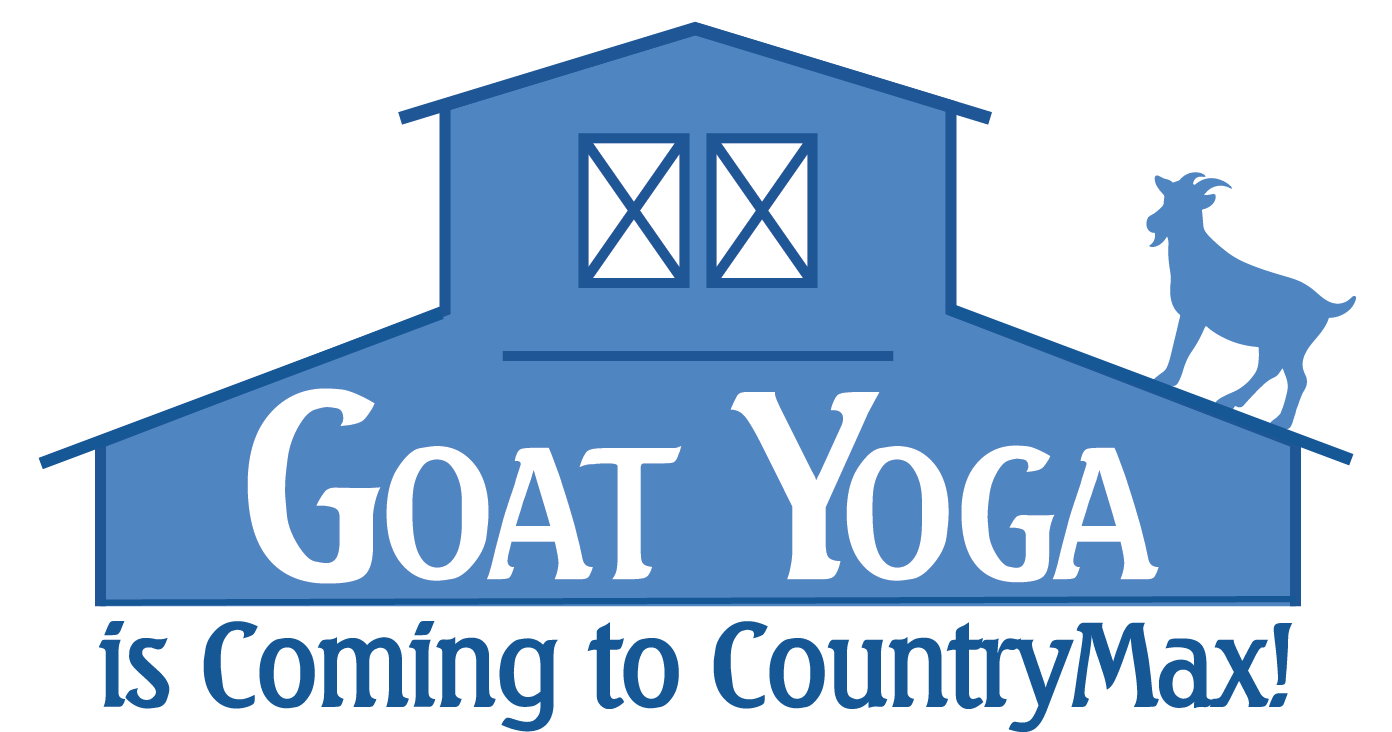 Goat Yoga at CountryMax