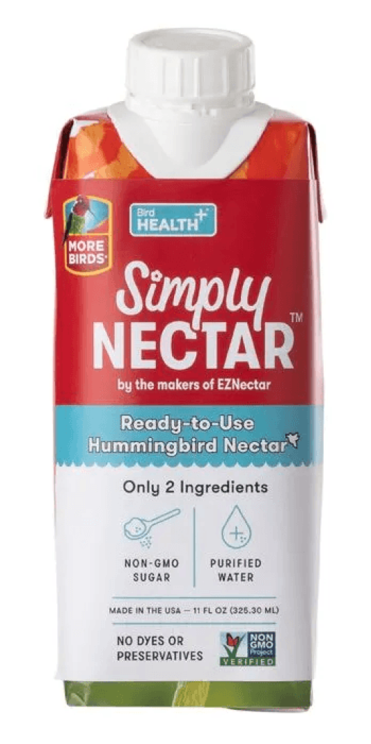 Backyard Bird Life May