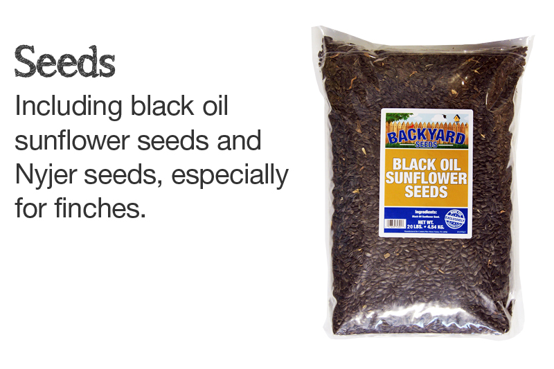 black oil sunflower seed