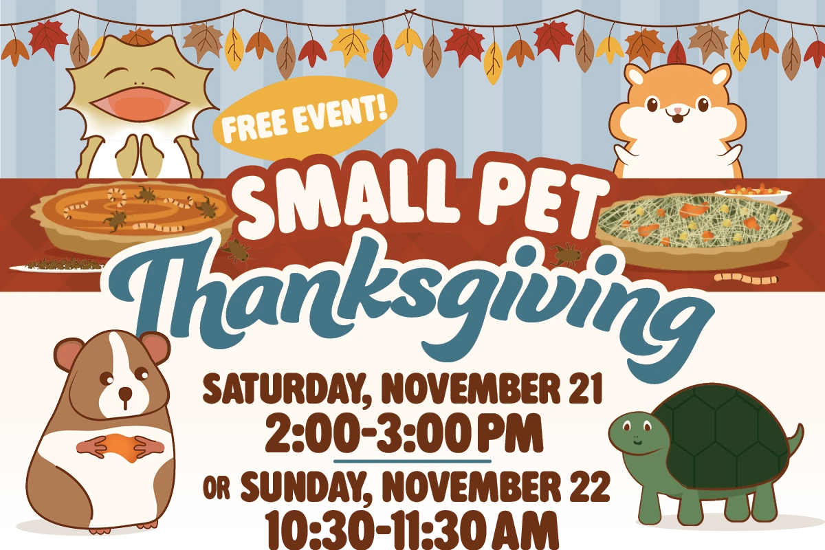 Free Small Pet Thanksgiving at CountryMax Saturday November 21 Sunday November 22