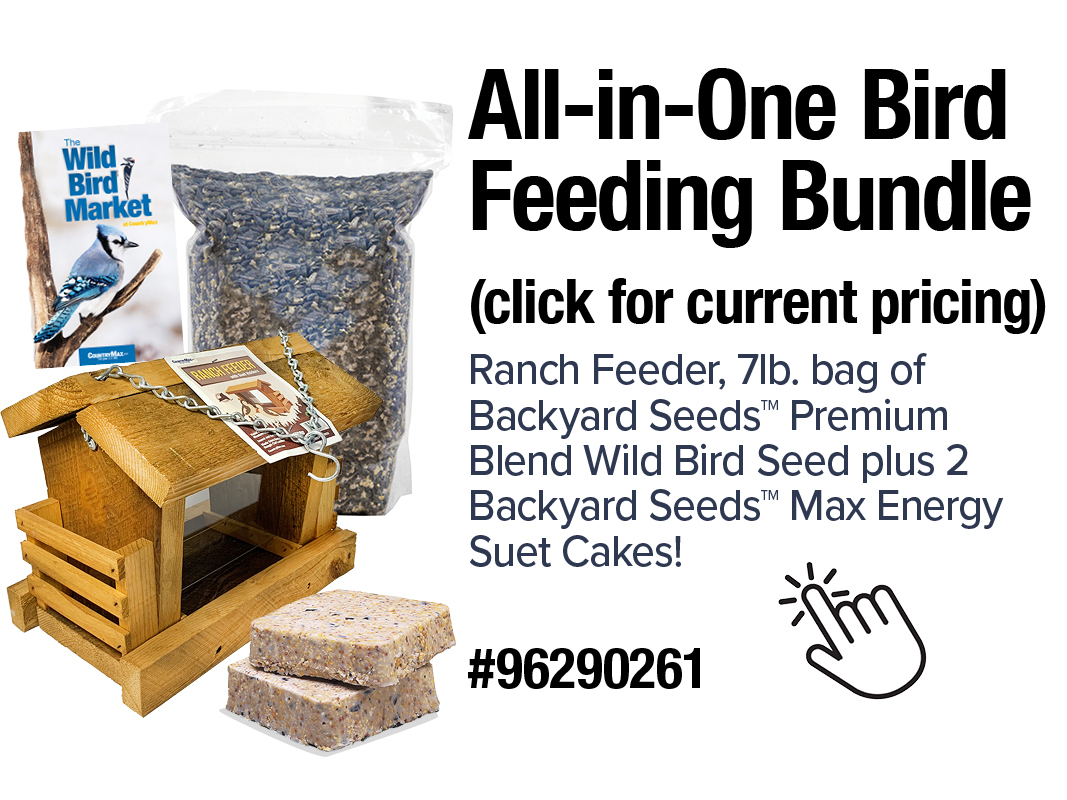 bundle bird feeder bird seed suet