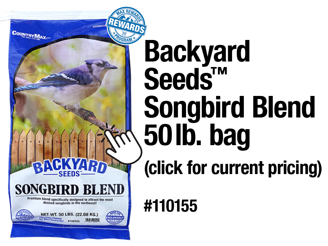 songbird bird seed blend