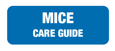 care-guide-links-landing-page-30.png