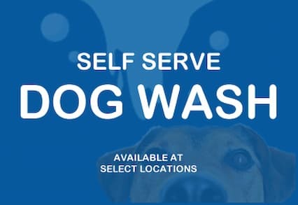 Dog Wash