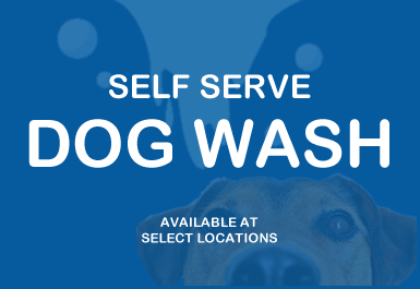 dog-wash4.fw.png