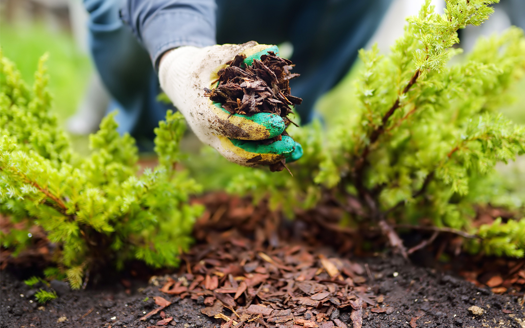 Lawn & Leaf Bags Self Standing Yard Cleanup - CountryMax