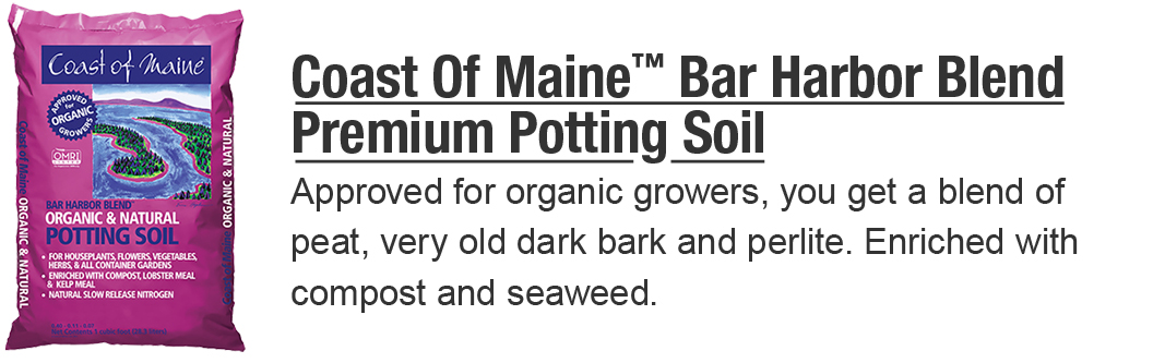 potting soil
