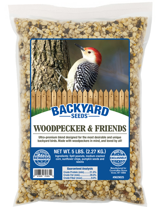 What is Bird Seed: Ultimate Guide to Choosing the Best Mix