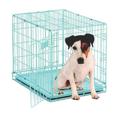 Midwest Blue iCrate Single Door Folding Dog Crate 1524BL 24 X 18 X