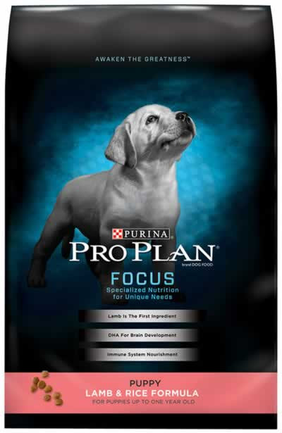 Pro Plan Focus Puppy Lamb Rice Food, CountryMax