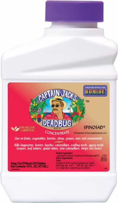 Bonide Captain Jack's Deadbug Brew Concentrate Pint - CountryMax