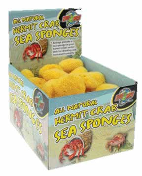 8 Pieces Hermit Crab Sponges - Live Hermit Crab