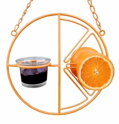 Heath Clementine Orange Jelly Oriole Feeder Countrymax