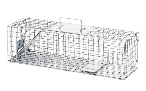 Havahart 1-Door Raccoon Trap, Extra Large - CountryMax