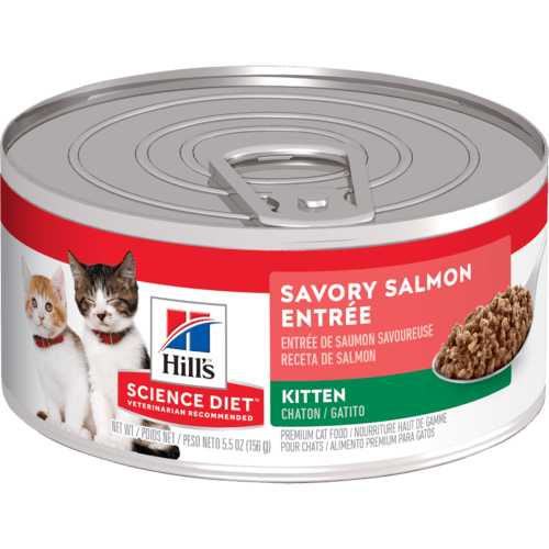 Kitten ドライフード 2kg×2 Hill's Science Diet Kitten Savory Salmon Entree Canned Cat Food