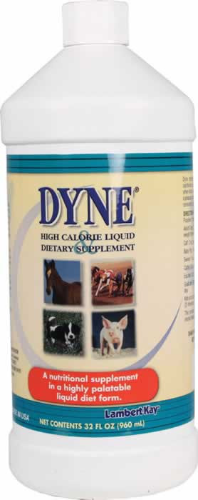 dyne for dogs