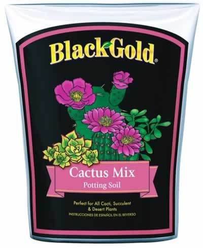 pot planter indoor Conic Planter Black
