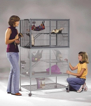Ferret Nation Add-On Single Unit, 36