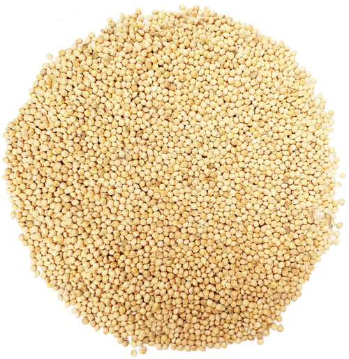 White Millet, Bulk - CountryMax